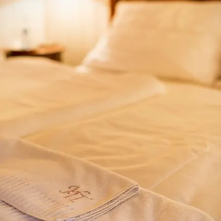 Hotel Torysa