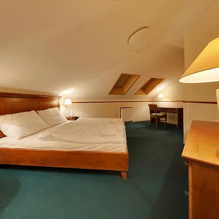 Hotel Torysa 3*