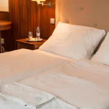 Torysa Hotel 3*